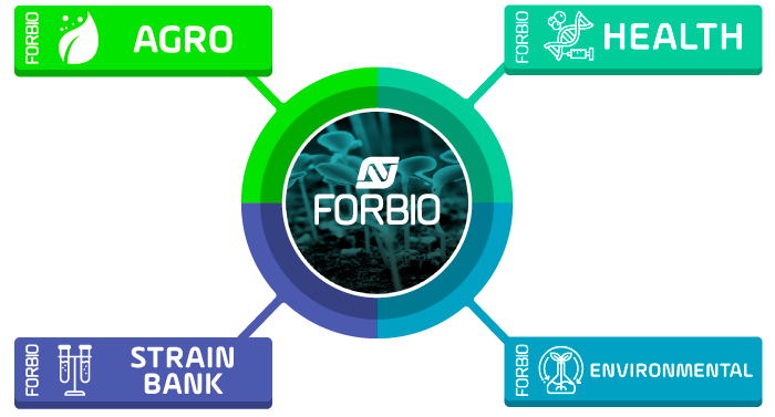 unidades-de-negocios-areas-forbio